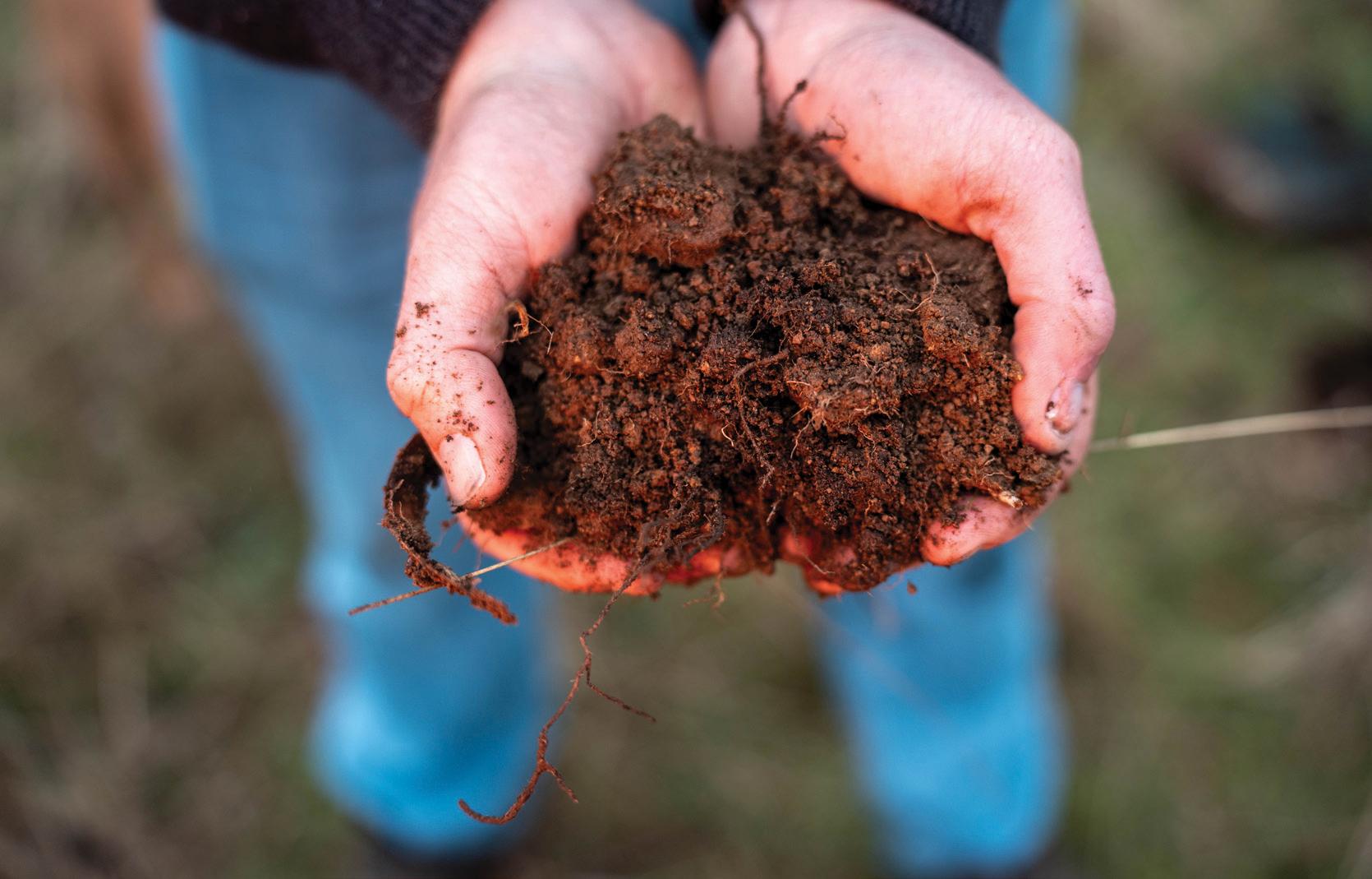 Hands holding healthy soil.